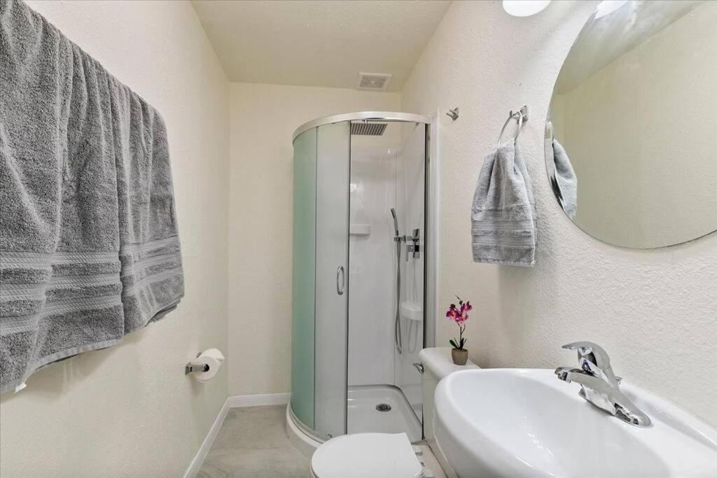 Lucky House - Tranquility In The Middle Of Houston - Tv In Every Room - 300 M2 Εξωτερικό φωτογραφία