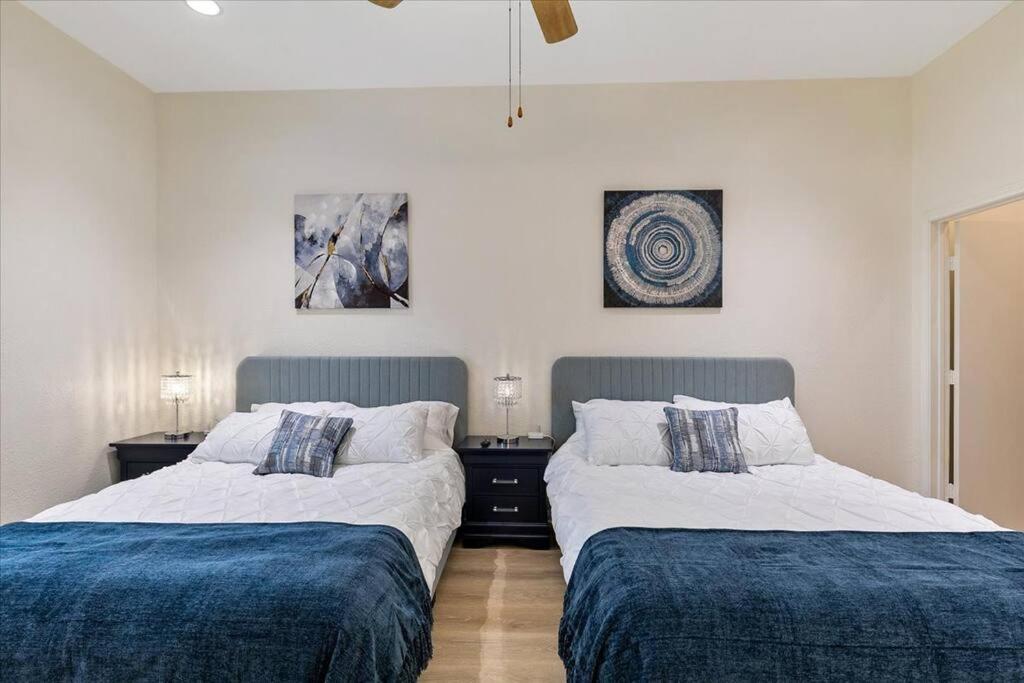 Lucky House - Tranquility In The Middle Of Houston - Tv In Every Room - 300 M2 Εξωτερικό φωτογραφία